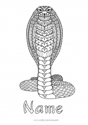 Free coloring Mandala Snake Complex coloring pages Zentangle Reptiles