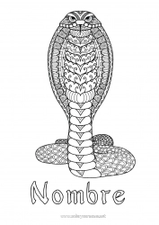 Colorear gratis Mandala Serpiente Dibujos complejos para colorear Zentangle Reptiles