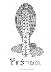 Coloriage gratuit Mandala Animal Serpent Coloriages complexes Zentangle Reptiles