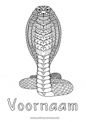 Gratis kleurplaat Mandala Dier Slang Complex Kleurplaten Zentangle Reptielen