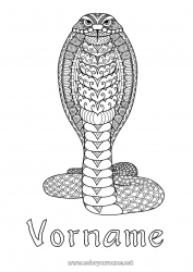 Kostenlose Zeichnung Mandala Tier Schlange Komplexe Ausmalbilder Zentangle Reptilien