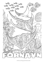 Gratis fargelegging Mandala Hav Dyr Fisk Komplekse fargelegginger Zentangle Rogna Marin eller akvatisk dyr