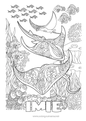 Kolorowanka za darmo Mandala Morze Zwierzę Ryba Złożone kolorowanki Zentangle Raia Zwierzęta morskie lub wodne