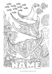 Free colouring Mandala Sea Animal Fish Complex colouring pages Zentangle Skate Marine or aquatic animals