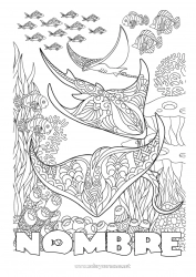 Colorear gratis Mandala Mar Animales Pescado Dibujos complejos para colorear Zentangle Mantarraya Animales marinos o acuáticos