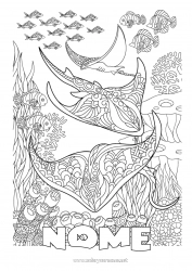 Desenho grátis Mandala Mar Animal Peixe Colorações Complexas Zentangle Raia Animais marinhos ou aquáticos