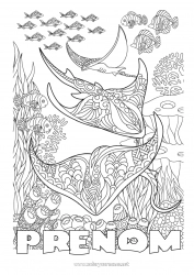 Dessin gratuit Mandala Mer Animal Poisson Coloriages complexes Zentangle Raie Animaux marins ou aquatique