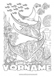 Kostenlose Zeichnung Mandala Meer Tier Fisch Komplexe Ausmalbilder Zentangle Stachelrochen Meeres- oder Wasserlebewesen