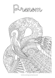 Coloriage à personnaliser Mandala Animal Coloriages complexes Flamant rose Oiseaux et mammifères volants