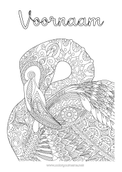 Gratis tekening Mandala Dier Complex Kleurplaten Flamingo Vogels en vliegende zoogdieren