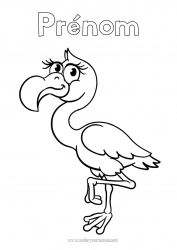 Coloriage gratuit Animal Flamant rose Oiseaux et mammifères volants