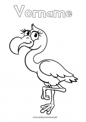 Malvorlage anpassen Tier Flamingo Vögel und fliegende Säugetiere
