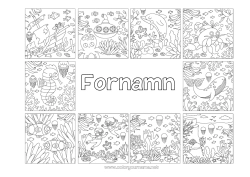 Gratis färgläggning Val Manet Hav Fordon Djur Delfin Fisk Båt Hippocampus Krabba Marina djur eller vattenlevande djur Dykning U-båt Marina fordon Vattensporter