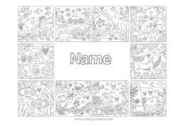 Colouring to customise Whale Jellyfish Sea Vehicles Animal Dolphin Fish Boat Seahorse Crab Marine Or Aquatic Animals Diving Submarine Marine Vehicles Water Sports
