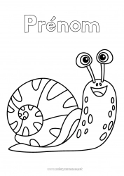 Coloriage gratuit Animal Escargot Insectes