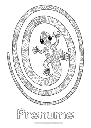 Pagină de colorat personalizată Animal Desene de colorat complexe Zentangle Reptile Alte animale din lume