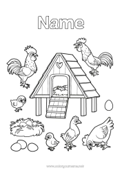 Coloring to customize Hen Chick Animal Rooster Flying birds and mammals Farm animals Egg Farmer Farm Professions Bird's Nest