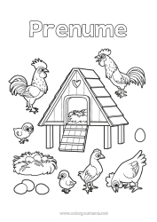 Pagină de colorat personalizată Cocoșă. Pui Animal Cocoș Păsări și mamifere zburătoare Animale de fermă Ouă Fermer. Meserii agricole Cuib de pasăre