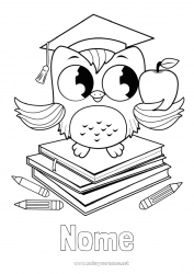 Desenho para personalizar Coruja Animal Escola Livro Pássaros e mamíferos voadores Leitura Volta às Aulas