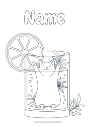 Colouring to customise Cat Cute Fruit Drink Fizz Dogs And Cats Cocktail Orange