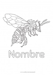 Colorear gratis Mandala Abeja Zentangle Insectos