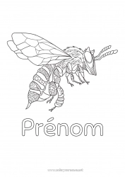 Coloriage gratuit Mandala Animal Abeille Zentangle Insectes