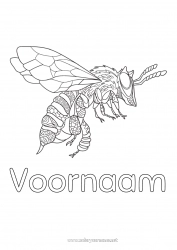 Gratis kleurplaat Mandala Dier Bij Zentangle Insecten