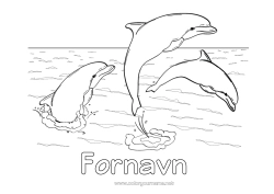 Farvelægningssiden tilpasning Hav Dyr Delfin Havdyr eller vandlevende dyr