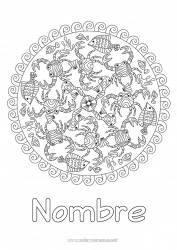 Colorear gratis Mandala Mar Animales Pescado Cangrejo Dibujos complejos para colorear Animales marinos o acuáticos