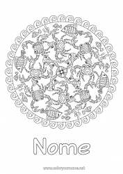 Colorare per personalizzare Mandala Mare Animale Pesce Granchio Colorazioni complesse Animali marini o acquatici