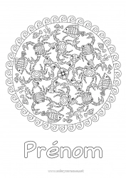 Coloriage à personnaliser Mandala Mer Animal Poisson Crabe Coloriages complexes Animaux marins ou aquatique