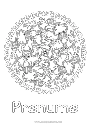 Desen liber de colorat Mandala Mare Animal Pește Crab Desene de colorat complexe Animale marine sau acvatice