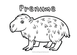 Pagină de colorat gratuită Animal Animale din pădure America de Sud