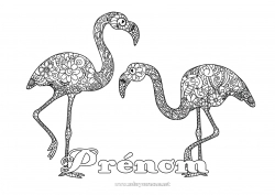 Coloriage gratuit Animal Coloriages complexes Flamant rose Zentangle Oiseaux et mammifères volants