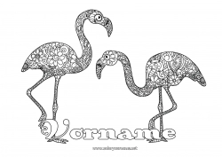 Kostenlose Malvorlage Komplexe Ausmalbilder Flamingo Zentangle Vögel und fliegende Säugetiere