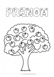 Coloriage gratuit Arbre Fruits Pomme Pommier