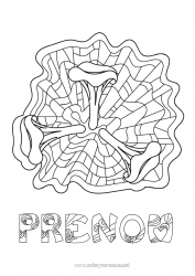 Coloriage gratuit Mandala Champignon Coloriages intermédiaires