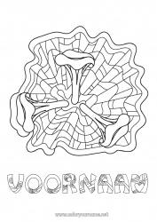 Gratis tekening Mandala Paddestoel Intermediaire kleurplaten