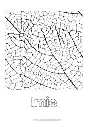 Kolorowanka za darmo Liście Nazwisko odznaczone Złożone kolorowanki Zentangle
