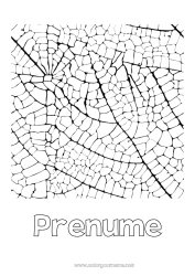 Pagină de colorat personalizată Frunze Nume decorat Desene de colorat complexe Zentangle
