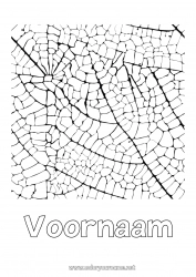 Gratis kleurplaat Bladeren Gedecoreerde naam Complex Kleurplaten Zentangle