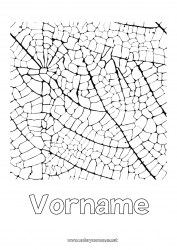 Kostenlose Zeichnung Blätter Dekorierter Name Komplexe Ausmalbilder Zentangle