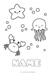 Free coloring Kawaii Jellyfish Animal Crab Easy coloring pages Starfish Marine or aquatic animals