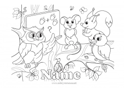 Free coloring Squirrel Mouse Owl Teacher Flying birds and mammals Forest animals Education Professions Class board Classroom Student Hazelnut