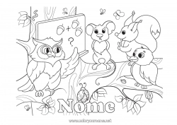 Disegno gratuito Scoiattolo Topo Gufo, Civetta Animale Insegnante Uccelli e mammiferi volanti Animali della foresta Mestieri dell'educazione Lavagna scolastica Aula Studente Nocciola
