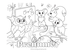 Pagină de colorat personalizată Veveriță Șoarece Bufniță, Uluce. Animal Învățătoare/Învățător Păsări și mamifere zburătoare Animale din pădure Meserii în educație Tablă de clasă Sală de clasă Elev Alună