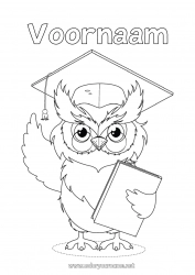 Gratis tekening Uil, Kerkuil Dier Juf/Meester Vogels en vliegende zoogdieren Onderwijsberoepen Terug naar school Studentenmuts