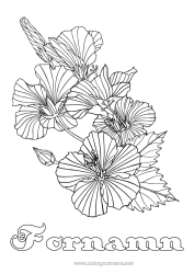 Gratis färgläggning Blommor Komplexa målarbilder Hibiskus