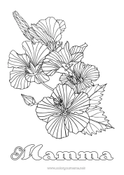 Fargeleggingssiden for barn Blomster Komplekse fargelegginger Hibiskus