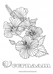 Kleurplaat voor kinderen Bloemen Complex Kleurplaten Hibiscus